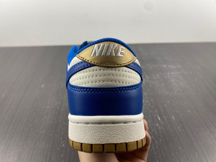 Nike Dunk Low  FB7173-141