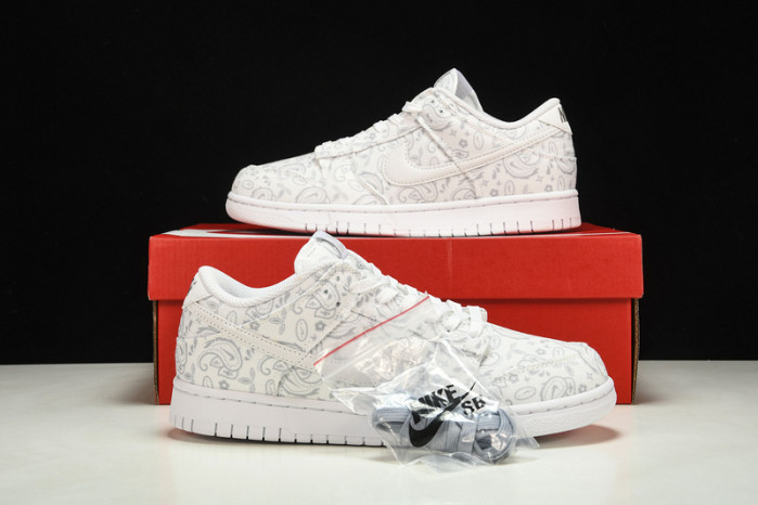 Nike Dunk Low DJ9955-100