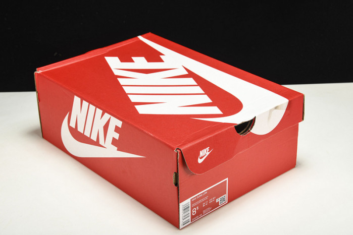 Nike Dunk Low GS DH9765-401