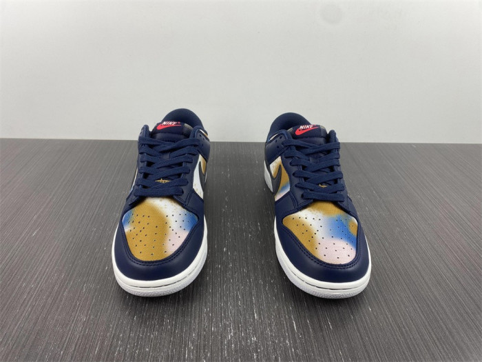 Nike Dunk Low Retro PRM DM0108-400