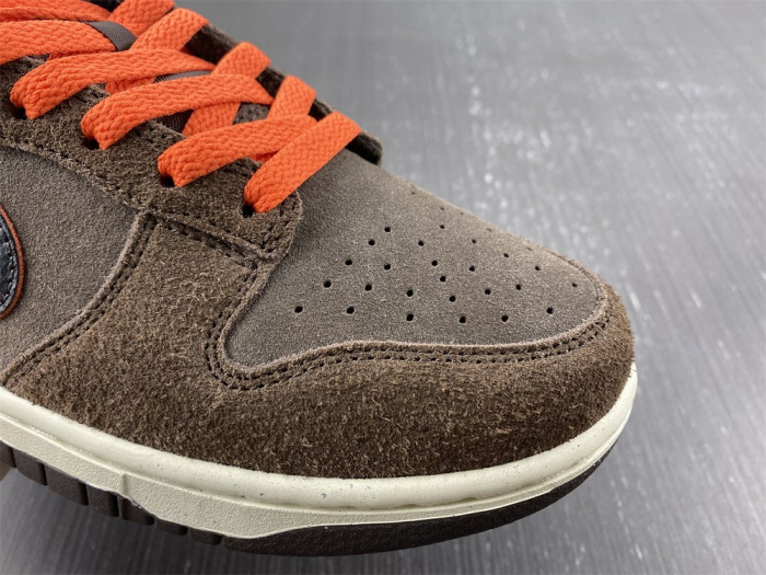 Nike Dunk Low Retro  DQ8801-200