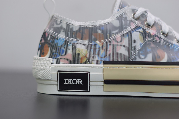 D10R B23 Oblique  Low Top Sneakers L00N4